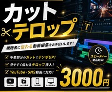 ショート動画のカット＆フルテロップ入れを承ります イメージ1