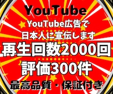 YouTube広告で日本人再生回数と評価増やします イメージ1