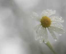 泣きたい位　辛いお話お聞きします イメージ1