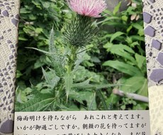 資料作成致します イメージ1