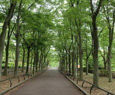 1日で漠然とした不安を形にします イメージ1