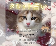 ワンコイン♡猫のキャティコーンタロットで占います イメージ1