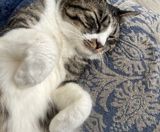 あなたのお話をなんでも聞きます イメージ1