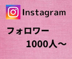 インスタフォロワーが増えるよう宣伝します イメージ1