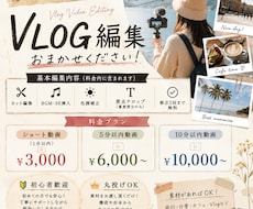 TV業界経験/VLOGを映画のように編集します イメージ1