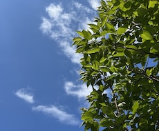雑談しませんか　まってます イメージ1