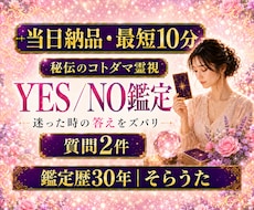 最短10分　質問２つ　YES/NO　一言鑑定します 即日対応　 秘伝のコトダマ霊視　迷いを解決