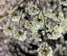 恋愛・仕事・対人関係なんでも気軽にお話聞きます イメージ1