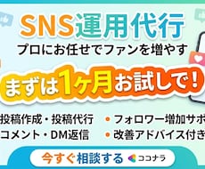 SNS運用代行★投稿作成から代行まで丸投げできます イメージ1