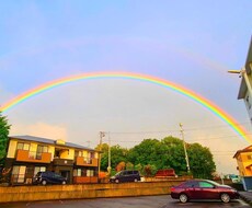 四季折々の景色を提供します イメージ1