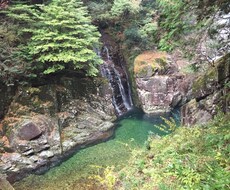今の気持ちを洋楽で表します イメージ1