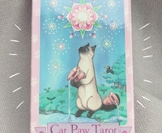 猫のタロットでお悩み相談お受けします イメージ1