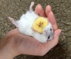 話を聞きます イメージ1