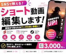 ショート動画を見やすく丁寧に編集します イメージ1