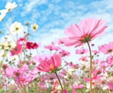 時間を気にせず気軽にいつでも悩み相談できます イメージ1