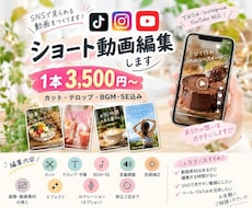 広告動画◎リール動画◎ショート動画編集します イメージ1