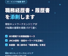 未経験IT転職の職務経歴書・履歴書を添削します イメージ1