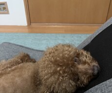 のんびりおじさんおうえんします 人間誰でもイライラも落ち込みもあるから自身の心を大切に