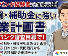 融資・補助金に強い事業計画書を作成します メガバンク経験者が審査や交渉対策・申請手順まで伴走