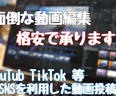 面倒で時間も手間も費やす動画を承ります イメージ1