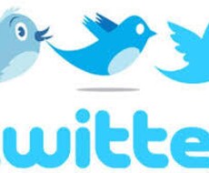 ツイッターフォロワー１4万人以上に宣伝します アクセスＵＰや売り上げ促進をしたい方に！無料お試しもあります