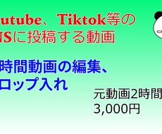 大変な長時間動画の編集をします 長時間動画編集が大変な配信者の方へ