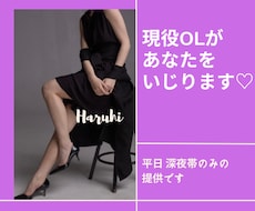 イケナイOLがあなたの理性を壊しちゃいます アフター５の秘密の時間♡ニッチな界隈でとても好評です✨