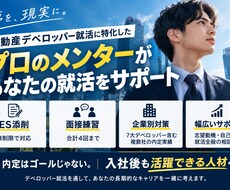デベロッパー就活のメンターを請け負います イメージ1