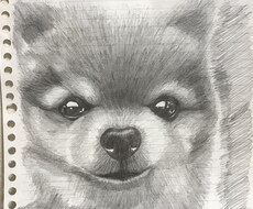 みなさんのペットの似顔絵描きます イメージ1