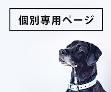 個別専用ページになります ご指定された方はこちらよりご利用下さいませ。