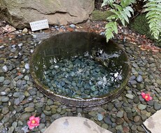 ポジティブになる方法考えます イメージ1