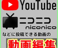 動画編集の依頼お受けします イメージ1