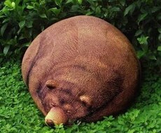 とりあえず話し聞きますね？なーんでも話してください。 イメージ1