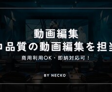 現役クリエイターがプロ品質の動画編集を担当します イメージ1