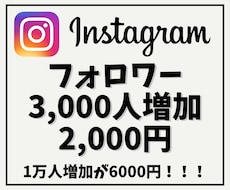 Instagramフォロワーを3000人増やします 【インスタ増加】他社より高ければご連絡ください！