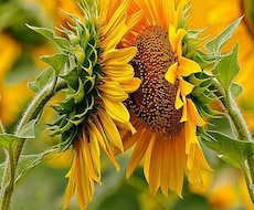 あなたの話を聴きます イメージ1