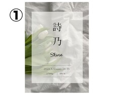 セミオーダー命名書をお作りします イメージ1