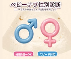 妊娠6週〜＊スピード対応ベビーナブ性別診断します 『 妊娠初期のドキドキに、やさしく寄り添う性別予測 』