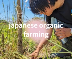 体に土に優しい野菜の作り方教えます