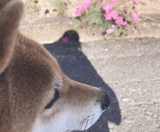 誰かに聞いて欲しい！！を聴きます イメージ1