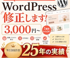 制作歴25年がWordPress修正します イメージ1