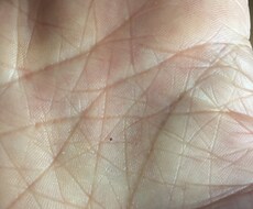 ご自分の本質を知り、より良い方向へ導きます イメージ1
