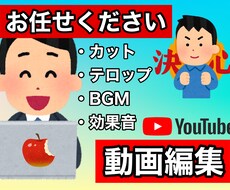 SNS用の動画編集承ります 動画投稿を迷っている方、編集にお困りの方にオススメです！