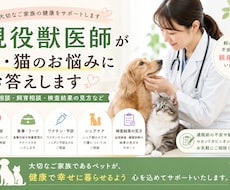 現役獣医師が犬・猫のお悩みを丁寧にお伺いします イメージ1