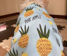 モヤモヤした気持ちを早く誰かに話したい。まってます イメージ1