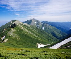 臨床経験20年の鍼灸師が体の悩みご相談うけます イメージ1