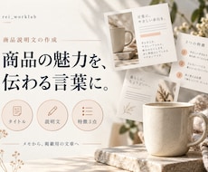 商品の魅力が伝わる説明文を3商品分作成します イメージ1