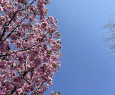 期間限定特別価格/自分を再発見するお手伝いをします イメージ1