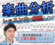 クラシックの楽曲分析のレッスンをいたします イメージ1