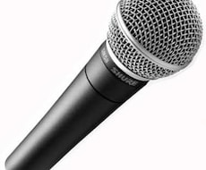 あなたの為に唄います♪ イメージ1